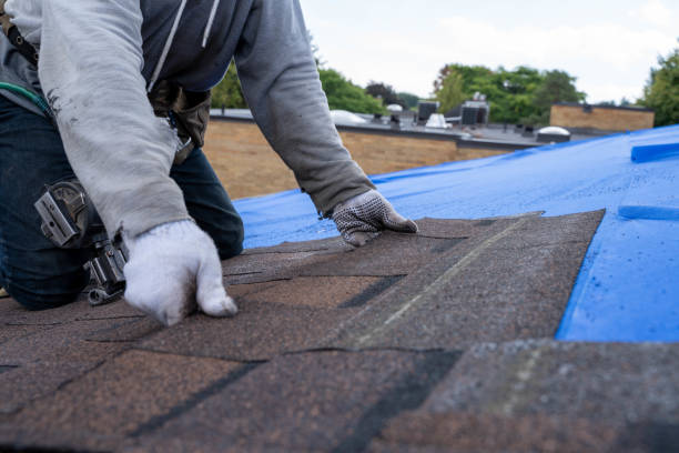 Best Roof Gutter Cleaning  in Porterville, CA